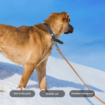 1.8M 3M 5M 10M  PVC Dog Leash large dog Medium Waterproof and easy to clean Wave texture running dog training Leash long strong PetVerse