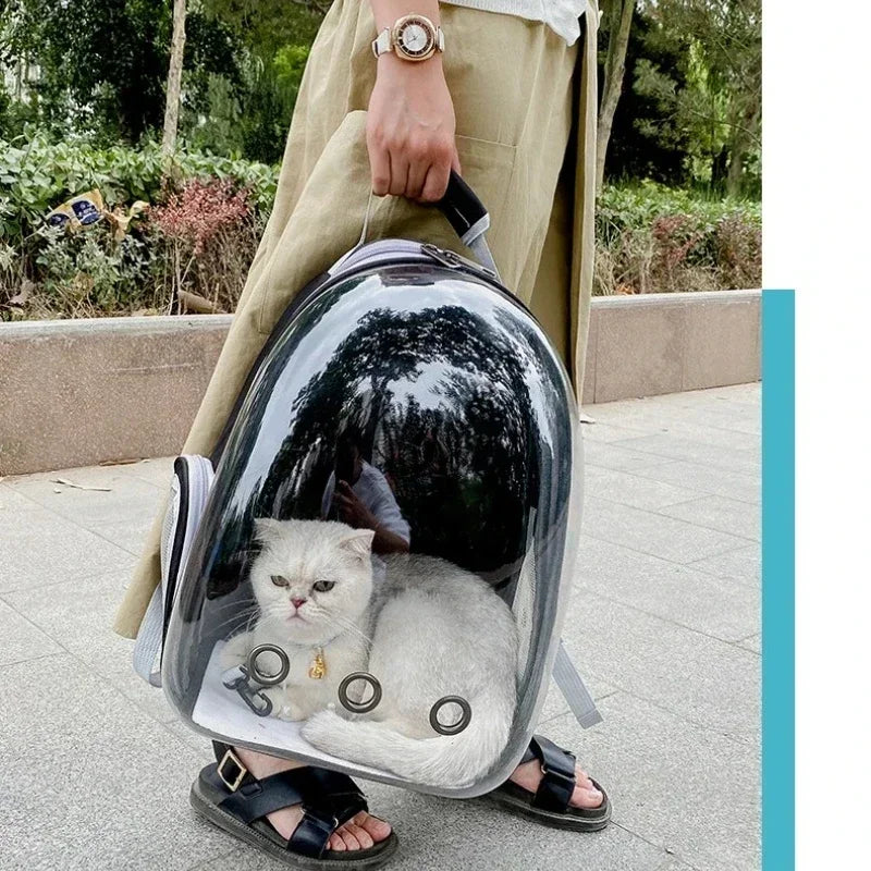 Person holding a transparent pet carrier with a cat inside, outdoors.