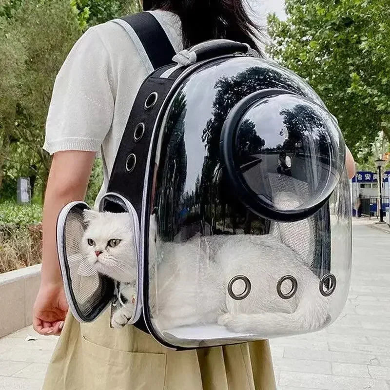 Person carrying a transparent pet carrier with a cat peeking out, outdoors.