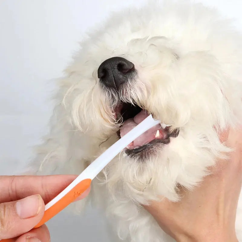 Cat Toothbrush and Toothpaste Set for Teeth Cleaning Vanilla Toothpaste Finger Toothbrush Tongue Cleaning Pet Accessories PetVerse