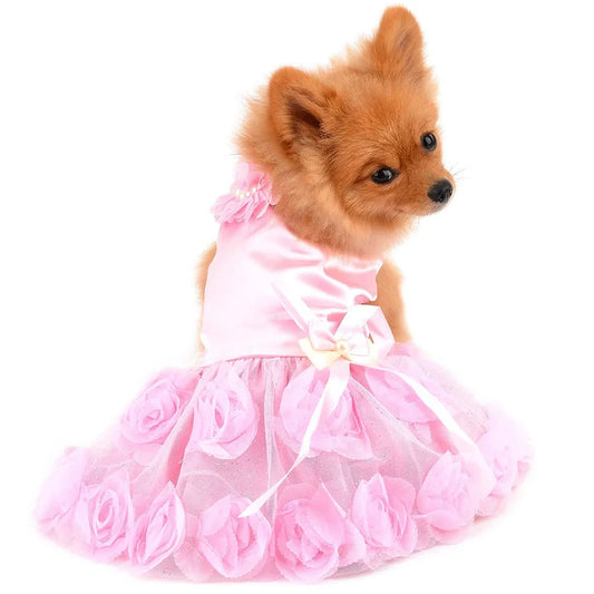 Small dog wearing a pink dress with floral details on a white background