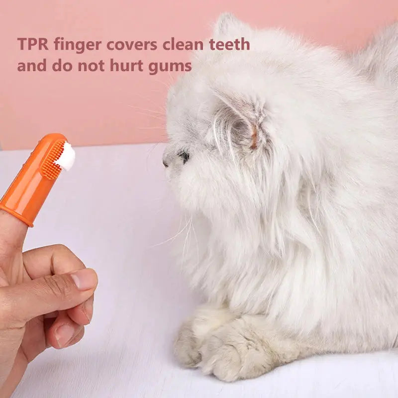 Cat Toothbrush and Toothpaste Set for Teeth Cleaning Vanilla Toothpaste Finger Toothbrush Tongue Cleaning Pet Accessories PetVerse
