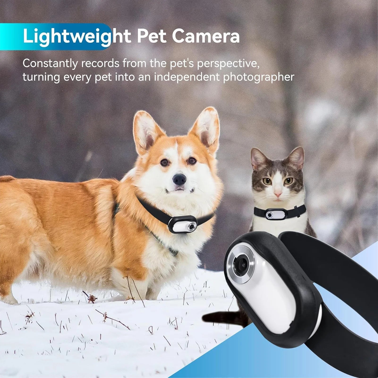 Pet Action Camera Small Pet Collar Camera 0.96in Screen Lightweight Full HD Rechargeable with Video Records for Cat for Outdoor PetVerse